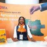 IFC backs Angola SMEs with trade finance facility