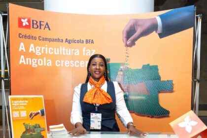 IFC backs Angola SMEs with trade finance facility