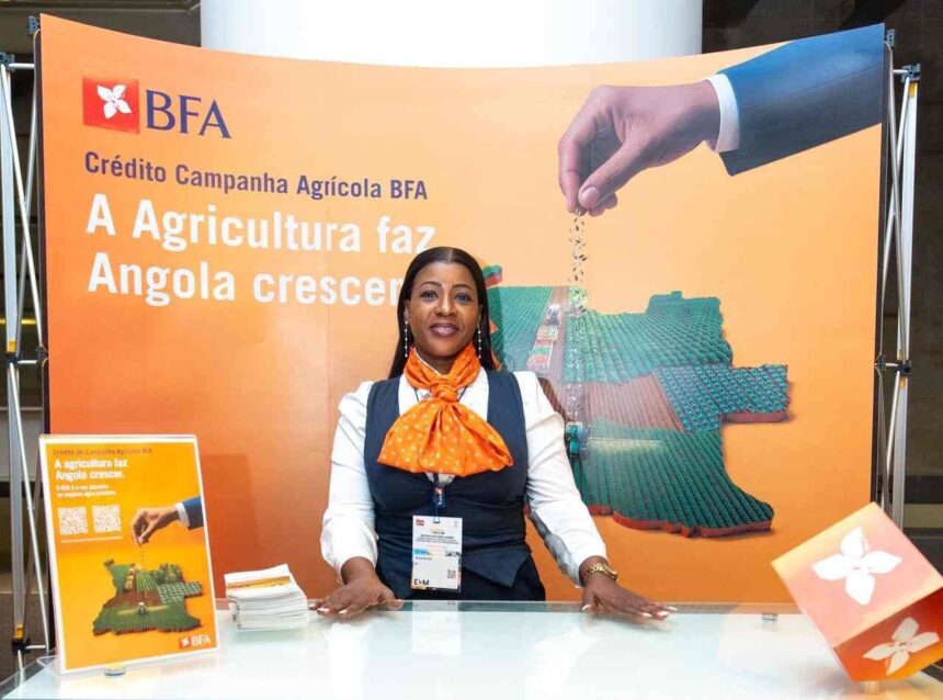 IFC backs Angola SMEs with trade finance facility