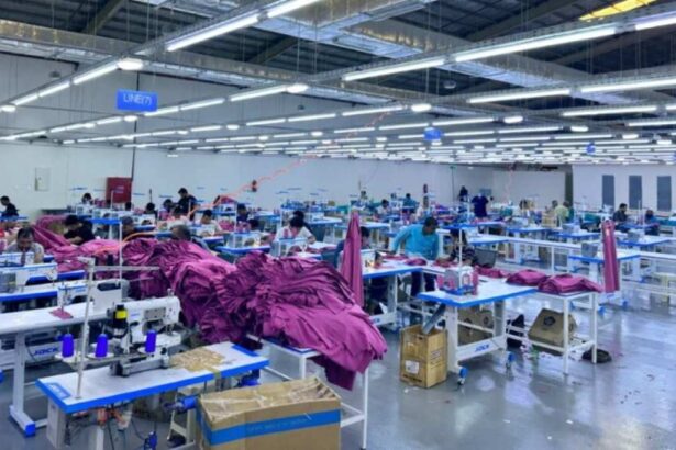 Egypt enhances textile testing to improve garment exports and meet global standards