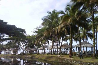 Cameroon set to host 2026 tourism fair to boost Africa travel partnerships