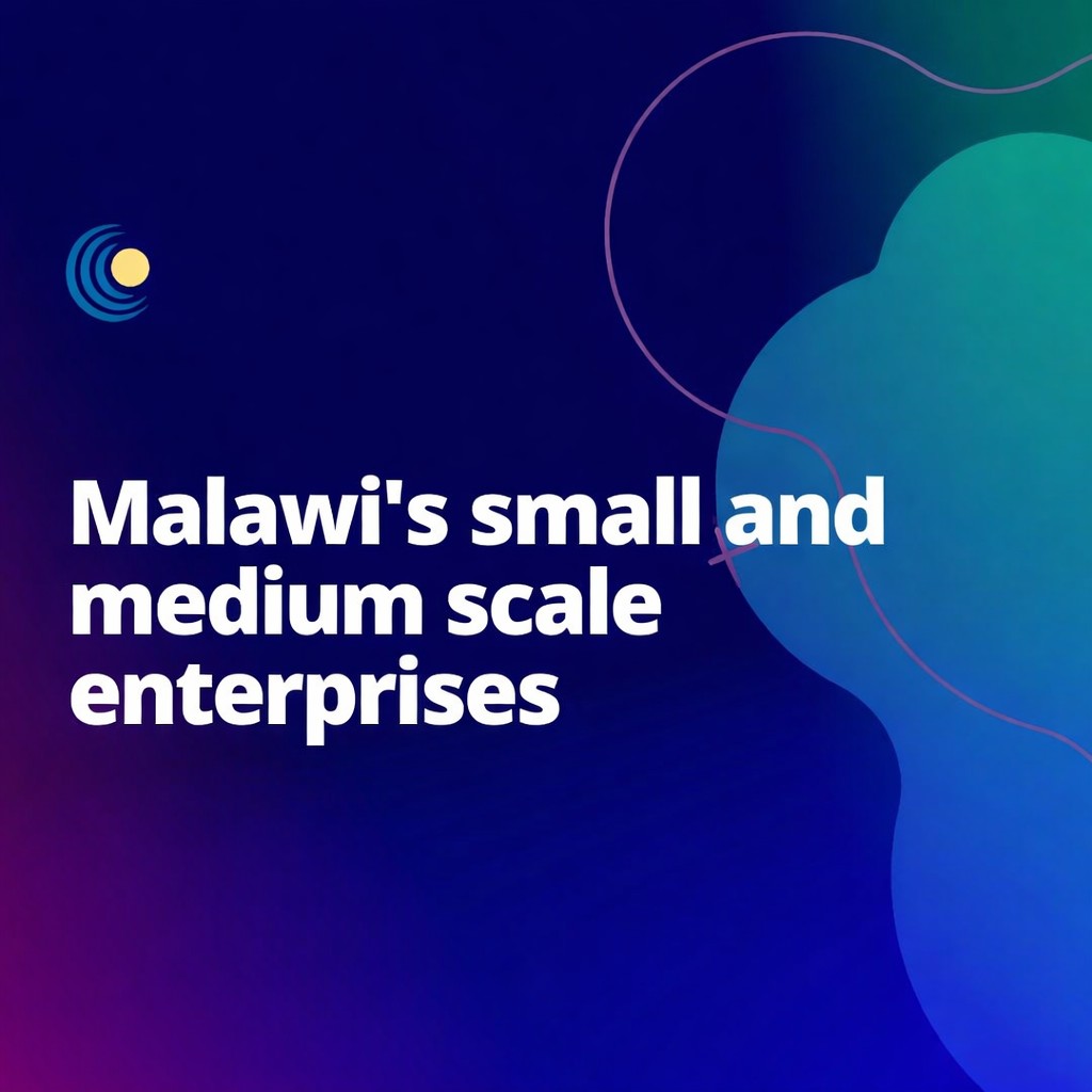 Malawi asset-based lending IFC project