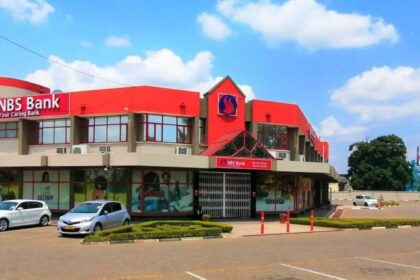 Malawi Stock Exchange profitable companies