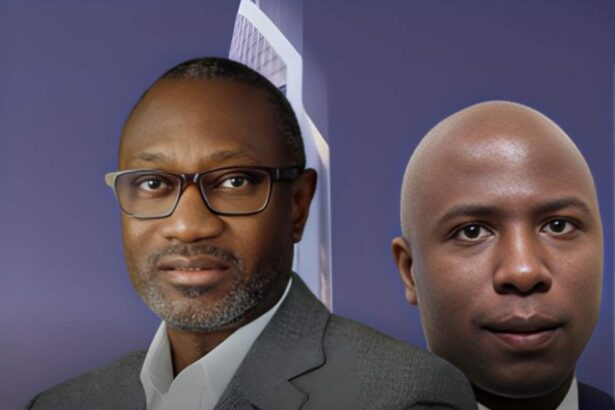 Femi Otedola First HoldCo stake