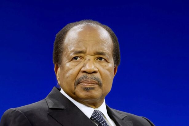 Cameroon tourism development programme