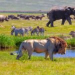 Serengeti National Park