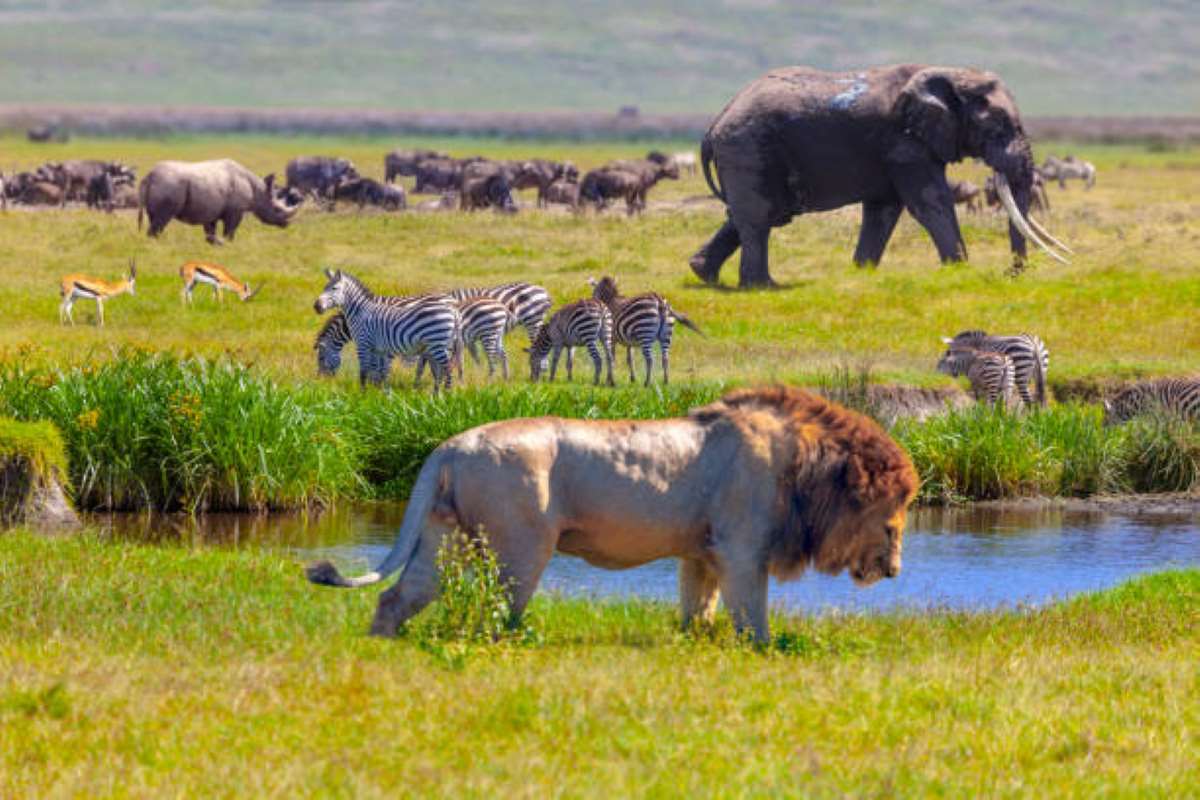 Serengeti National Park