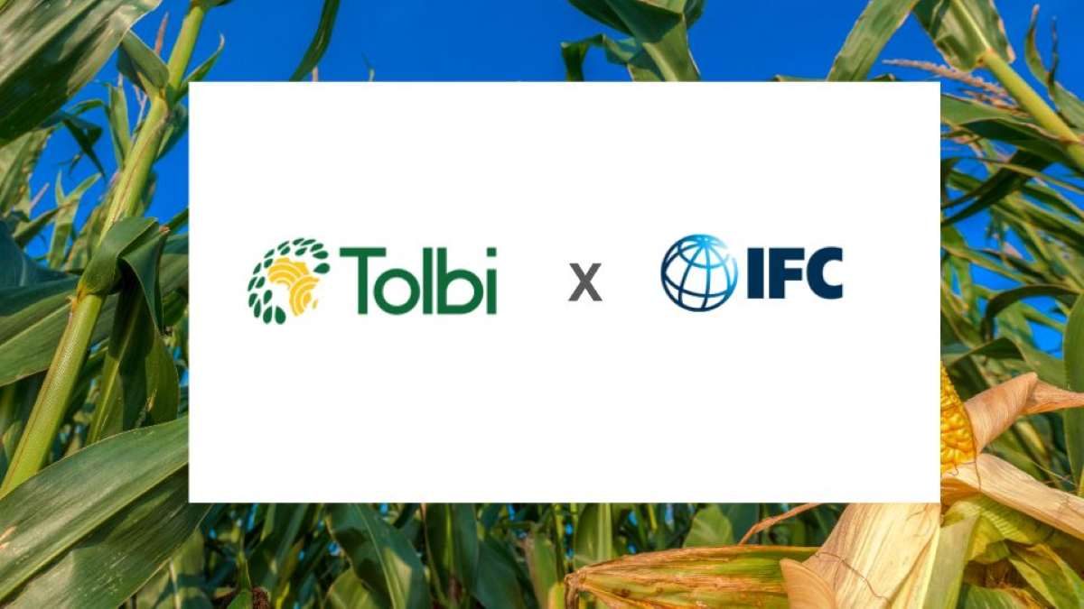 Senegal maize productivity project