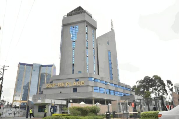 IFC $50 million ZEP-RE guarantee