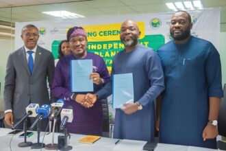 Elektron, Odu'a Investment $40 million power plant