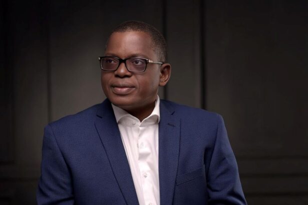 LAPO IFC $10 million MSME lending