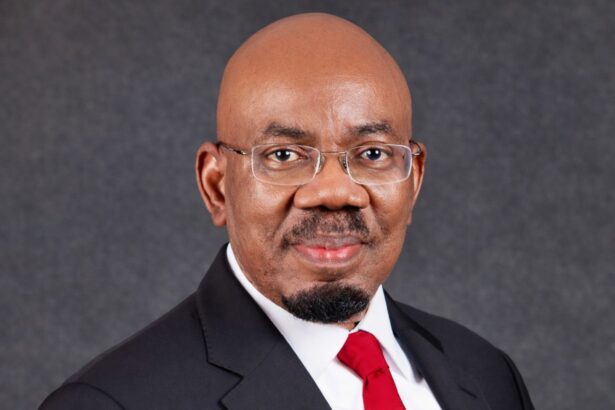 Nigerian businessman and banker Jim Ovia.