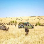 Nairobi park dispute grows as conservationists warn of forest loss
