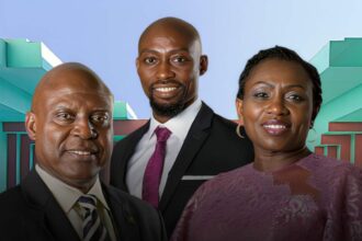 Fidelis Ayebae dividend Fidson