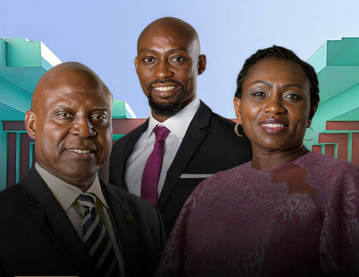 Fidelis Ayebae dividend Fidson