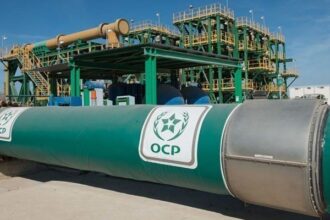 OCP Group