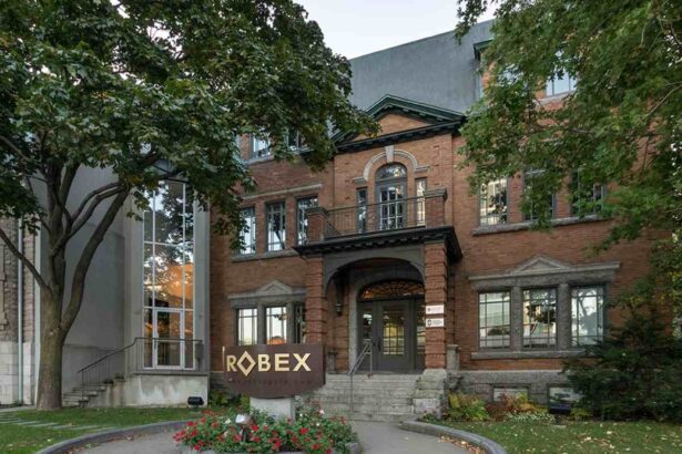 ROBEX RESOURCES