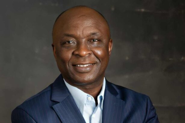 Seinde Fadeni NAHCO stake