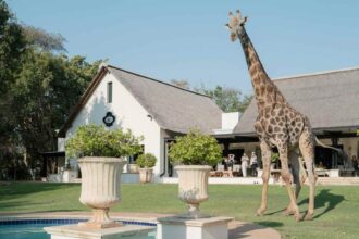 Royal Livingstone Zambia unveils upgraded Zambezi riverfront rooms