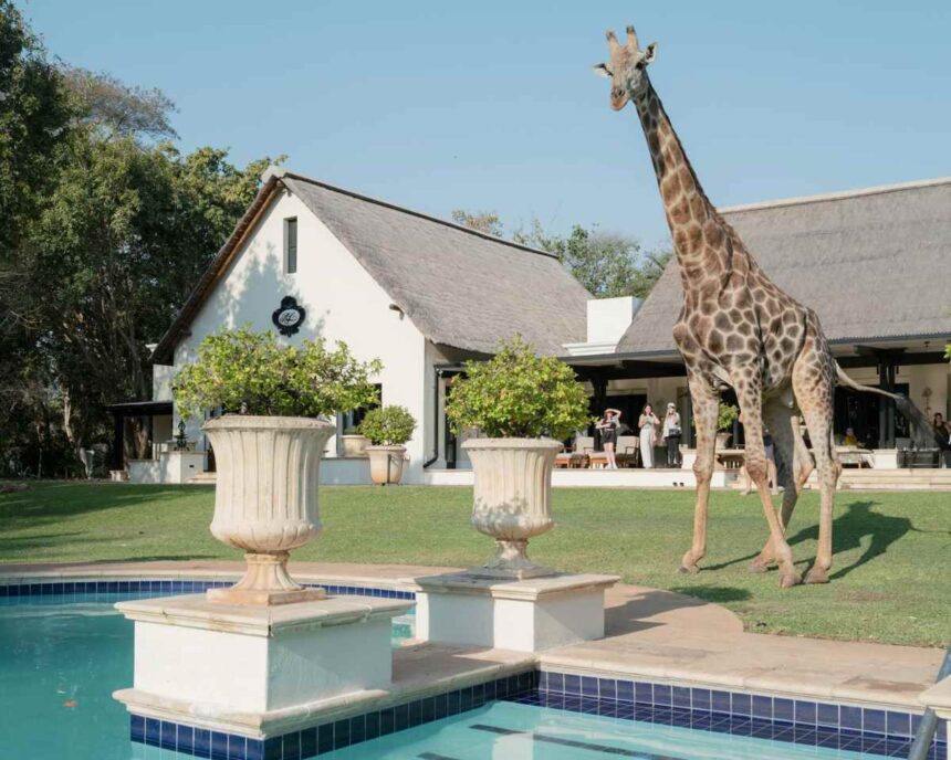 Royal Livingstone Zambia unveils upgraded Zambezi riverfront rooms