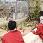 Tripoli Zoo reopens, offering Libyan families a rare escape