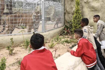 Tripoli Zoo reopens, offering Libyan families a rare escape