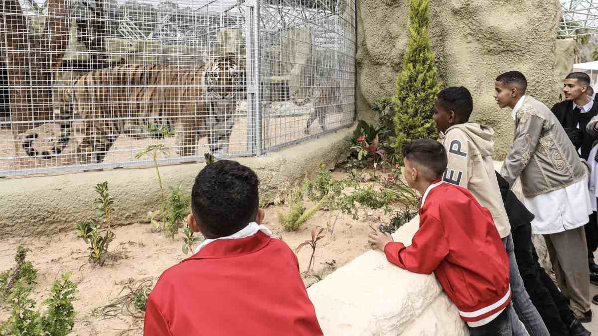 Tripoli Zoo reopens, offering Libyan families a rare escape