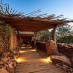 Africa private safari reserves