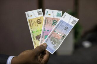 Zimbabwe launches new ZiG banknotes to rebuild trust in local currency