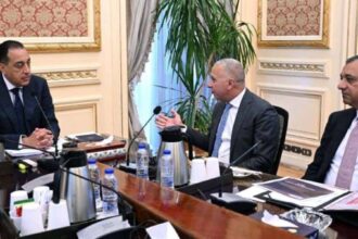 Elsewedy Electric officials & Egypt PM