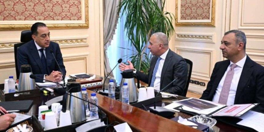 Elsewedy Electric officials & Egypt PM