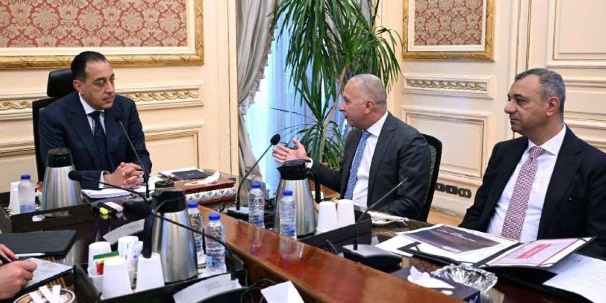 Elsewedy Electric officials & Egypt PM