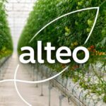 Mauritius-based conglomerate Alteo Limited.