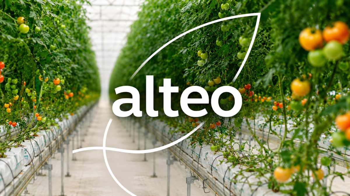Mauritius-based conglomerate Alteo Limited.