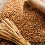 Egyptian wheat supply linked to import diversification strategy.