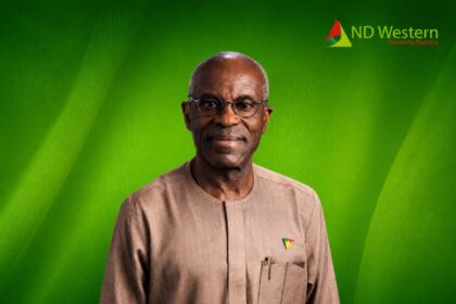 Nigerian energy veteran Layi Fatona.