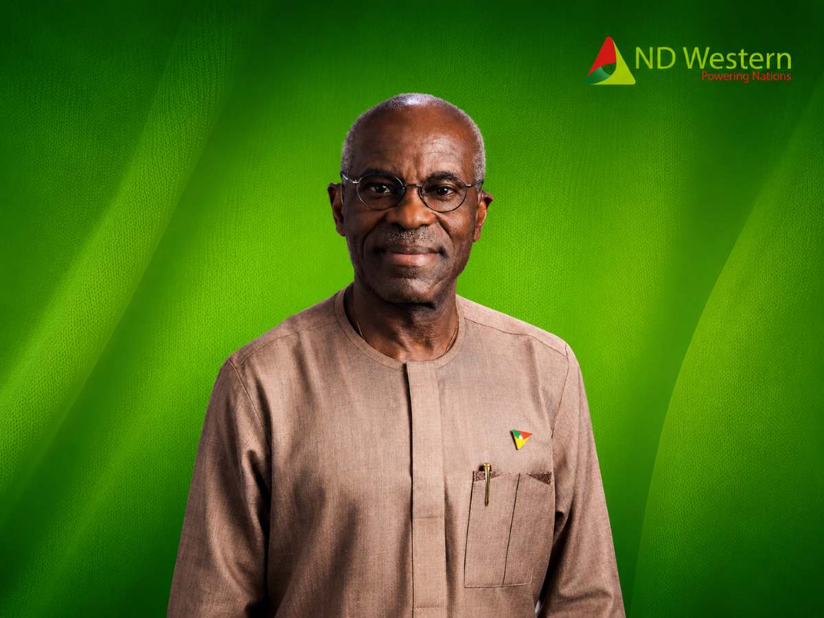 Nigerian energy veteran Layi Fatona.