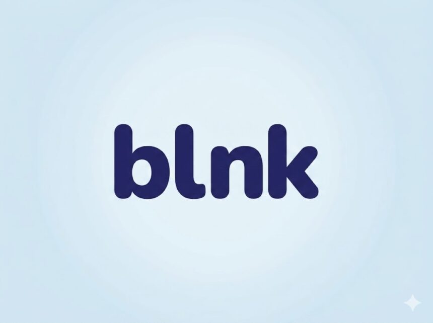 Egyptian fintech startup, Blnk