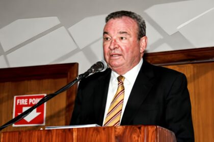 John Moxon Meikles diversification