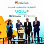 Valu, Egypt's fintech