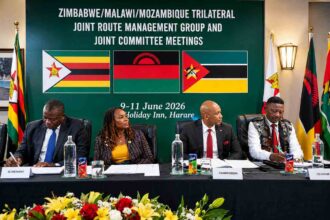 Southern Africa moves to ease trade with new transport corridor plan