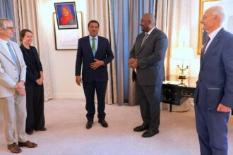Alstom plans Tanzania transport investment after talks with Prime Minister Nchemba