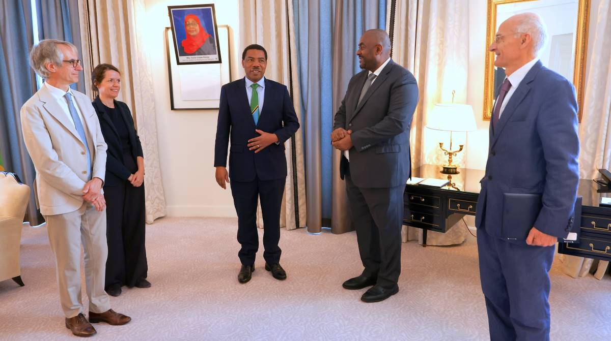 Alstom plans Tanzania transport investment after talks with Prime Minister Nchemba