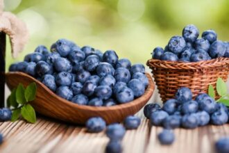 Blueberry