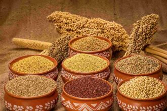 Burkina Faso ends four-year ban on cereal flour exports