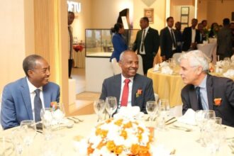 Ethiopian Airlines & Lyon