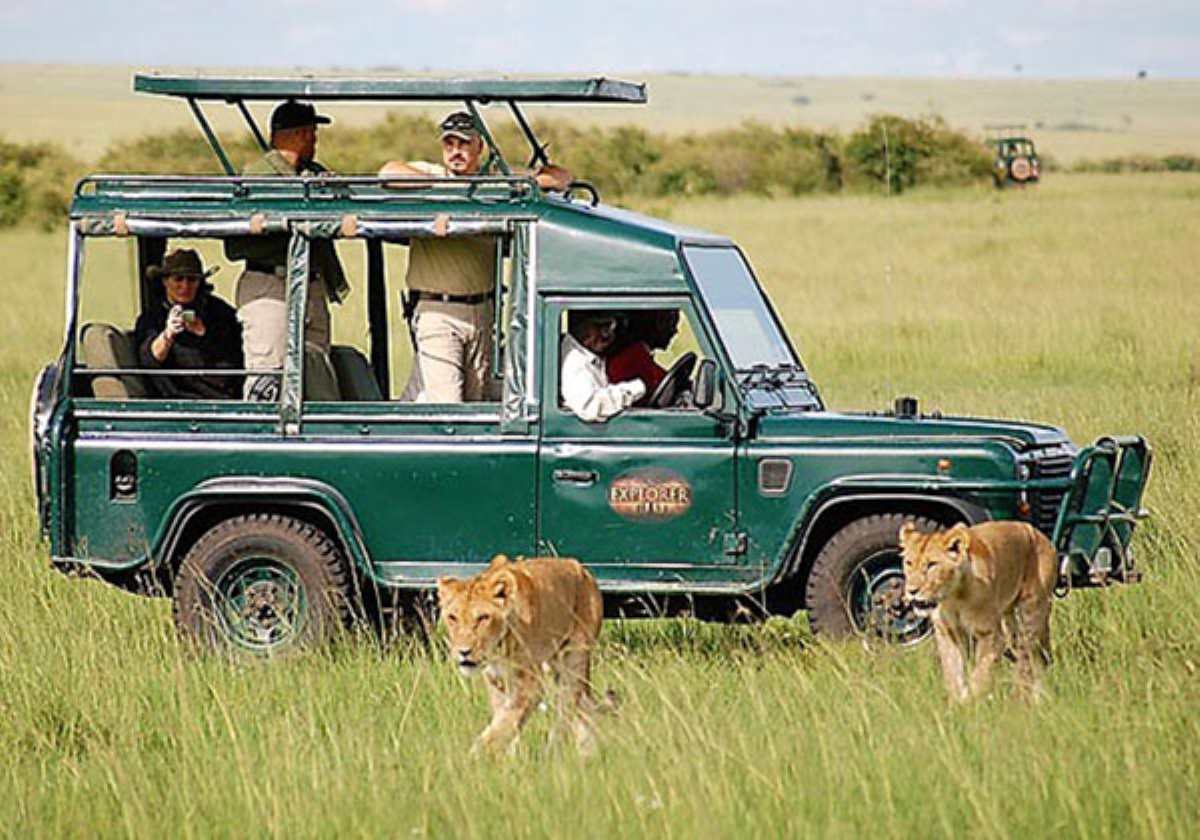 Masai Mara Safari