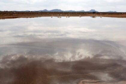South Africa’s shale gas ambitions face new risks after fault discovery