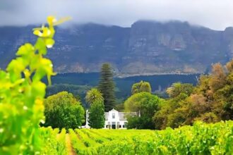 Cape Winelands