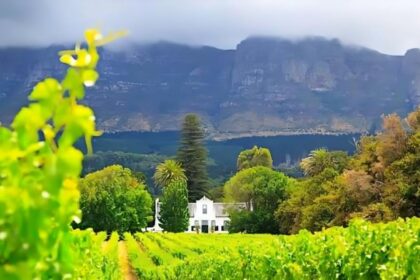 Cape Winelands